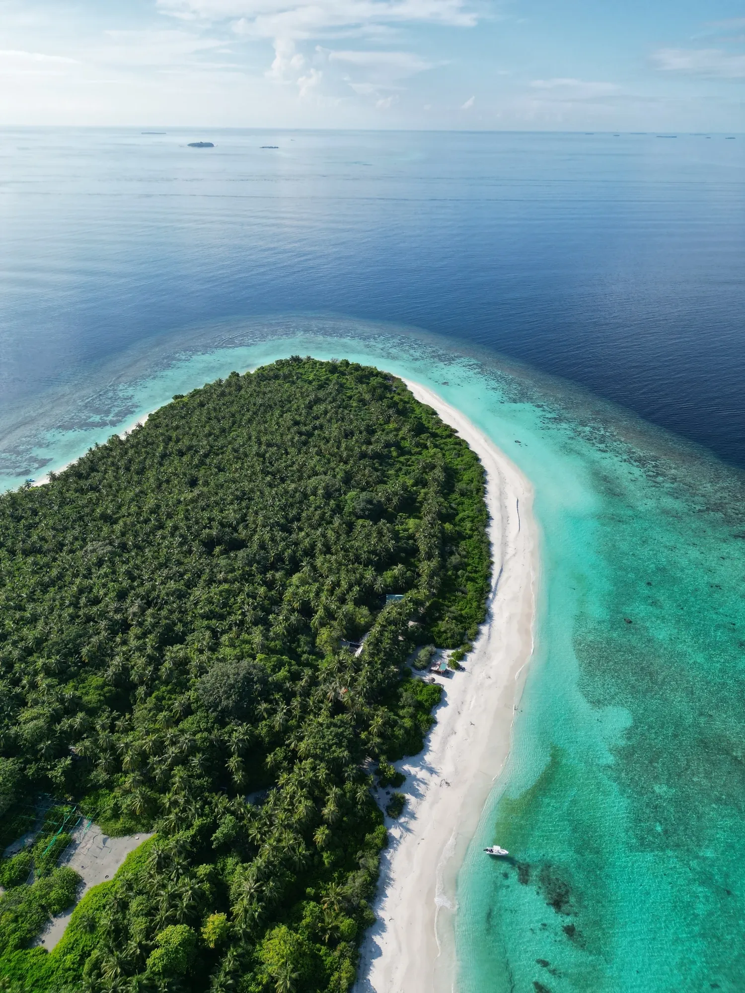 Aerial view of Dharavandhoo island's white-sand beach tip, reef shallows and palm canopy